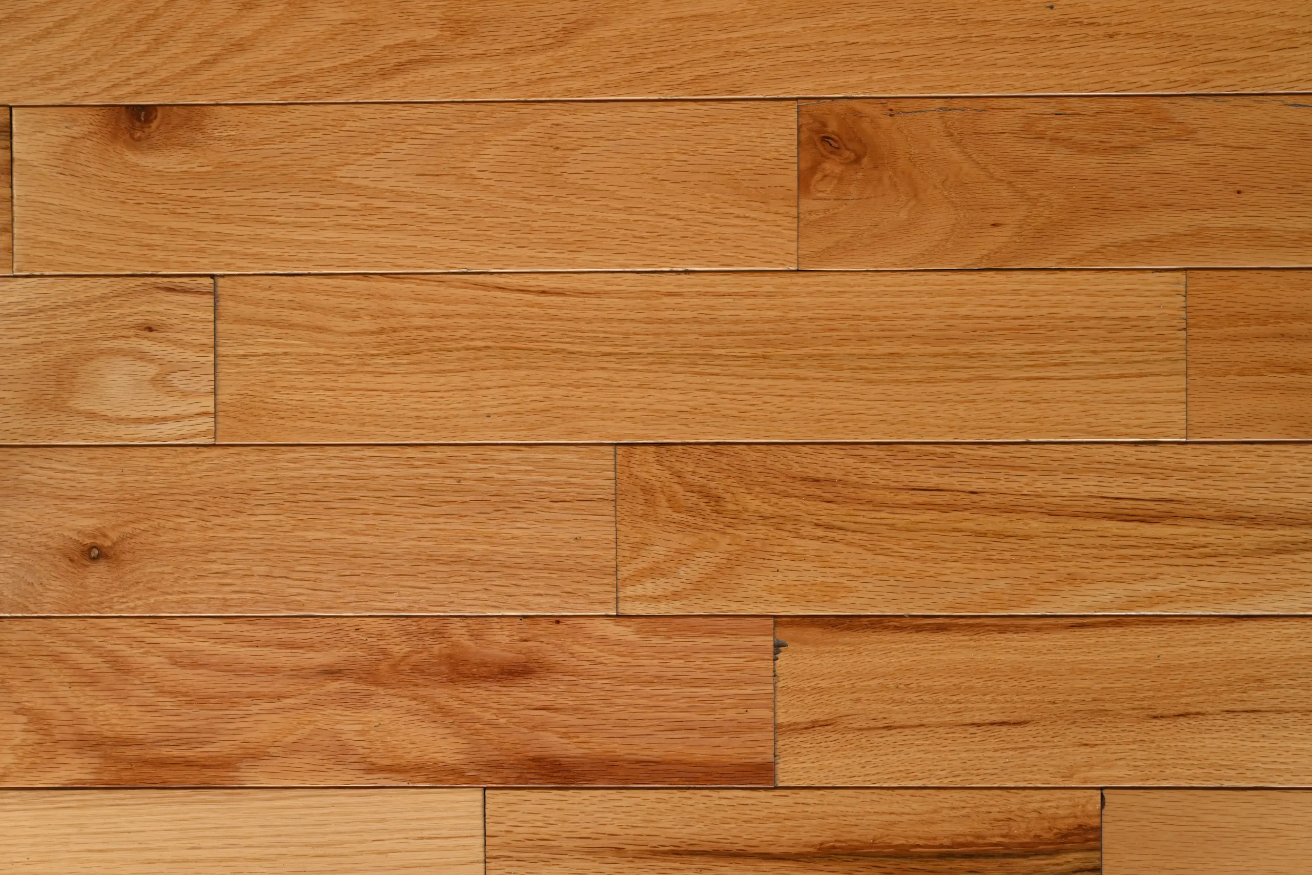 Natural Red Oak Natural Red Oak prefinished hardwood flooring in Character grade featuring micro-bevel edges and visible knots.