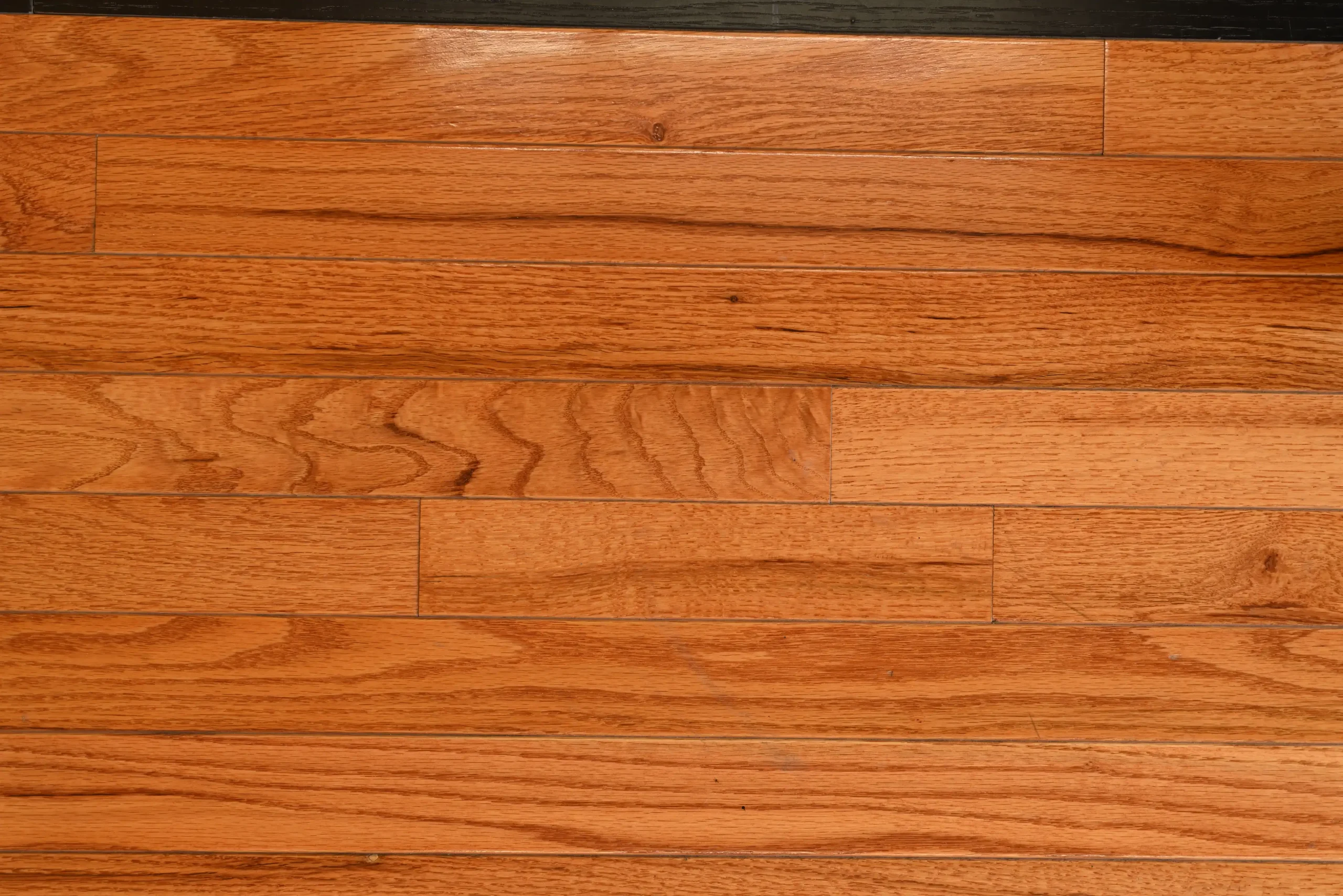 Butterscotch Butterscotch wood stain sample showing warm caramel tones and oak grain by Turman Hardwood Flooring.