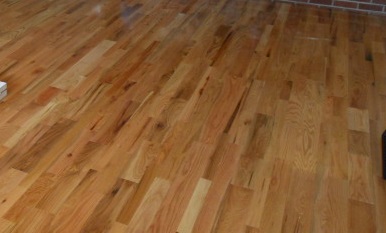 Red Oak -Natural Character Zoom