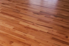 Hard Maple - Natural Zoom