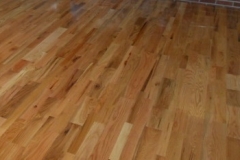 Red Oak -Natural Character Zoom